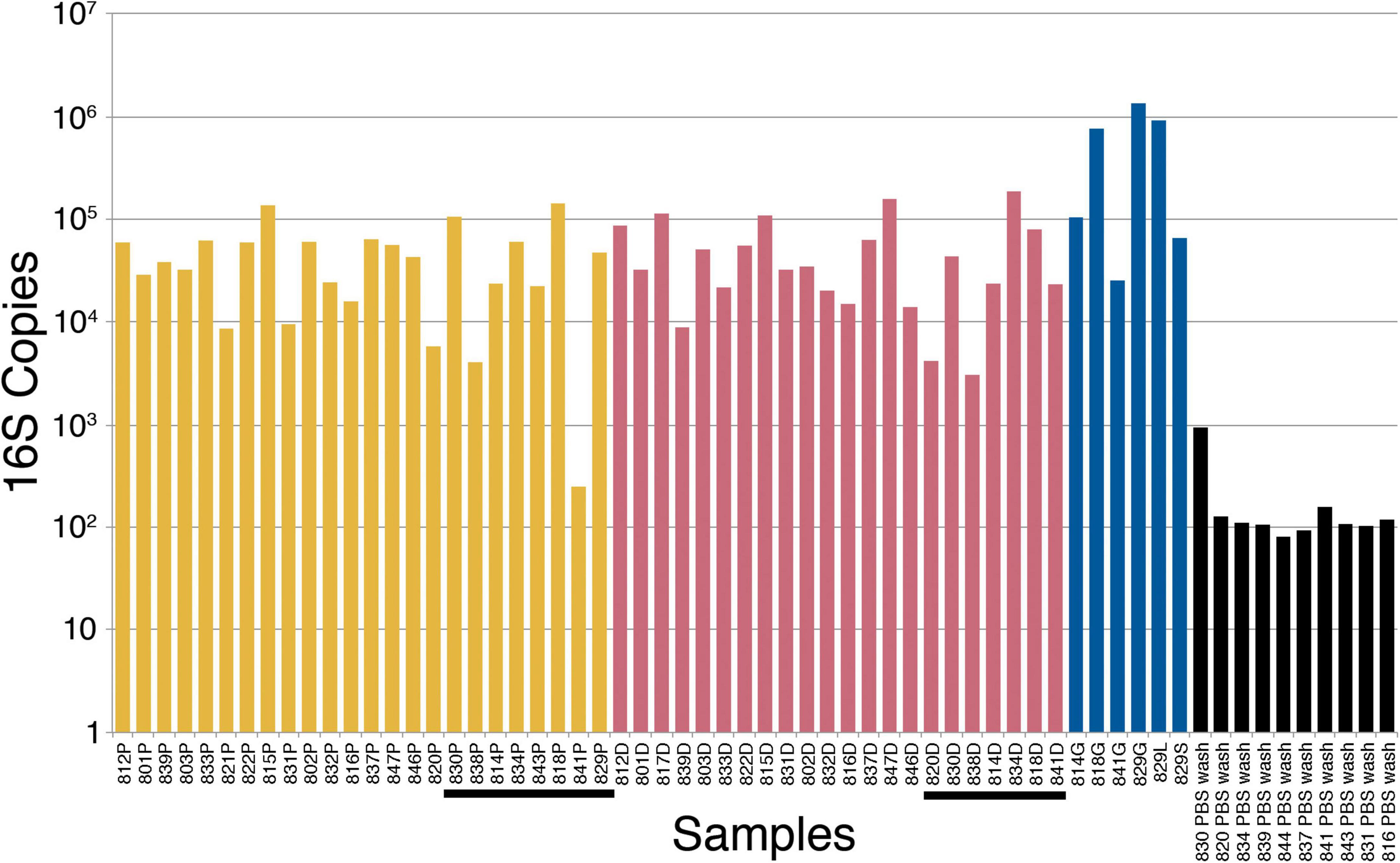 Frontiers Assessment of the human placental microbiome in early